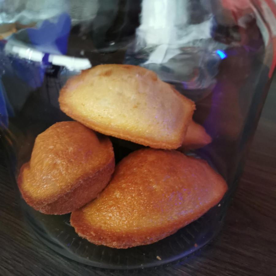 波特哈利甘酒店 基伯龙 外观 照片